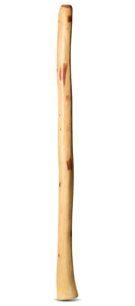 Natural Finish Didgeridoo (TW715)